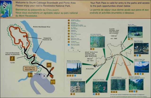 MacGillivray'sWarblerSign