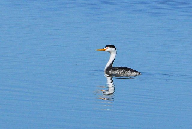 WestTripII2008 (132)