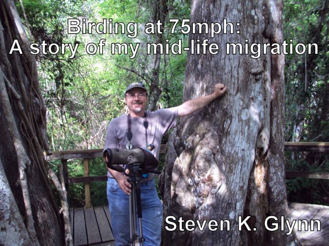 A1bgnjQj1NL__SL1500_