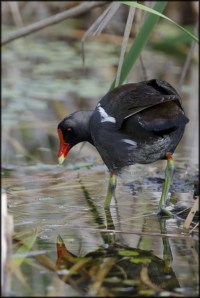 DSC2018BLOG-686x1024