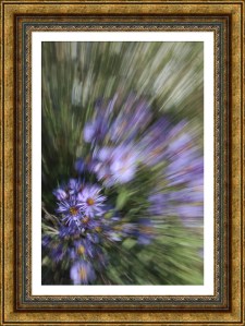 FotoSketcher-DSC_2035B