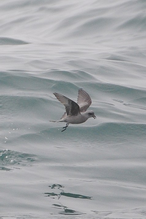 Westtrip2PR20080816 (7)