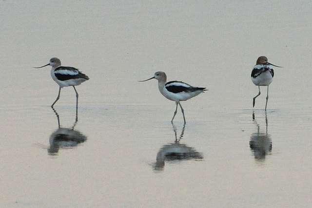 Westtrip2PR20080808 (40)