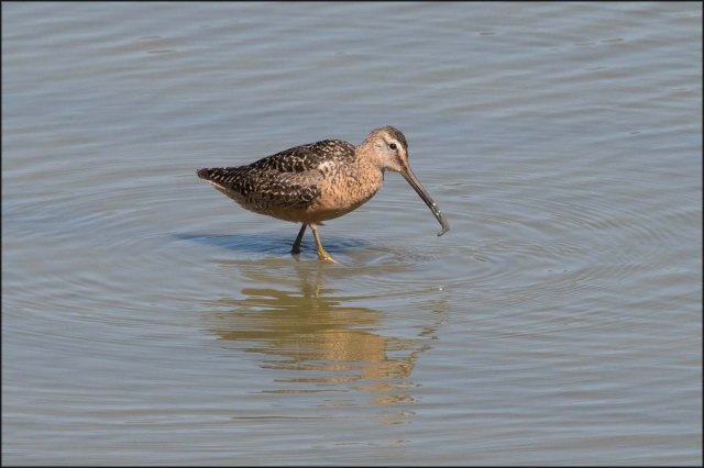 newzealandcookislands2016-1