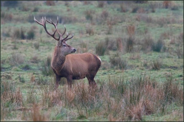 newzealandcookislands2016-52