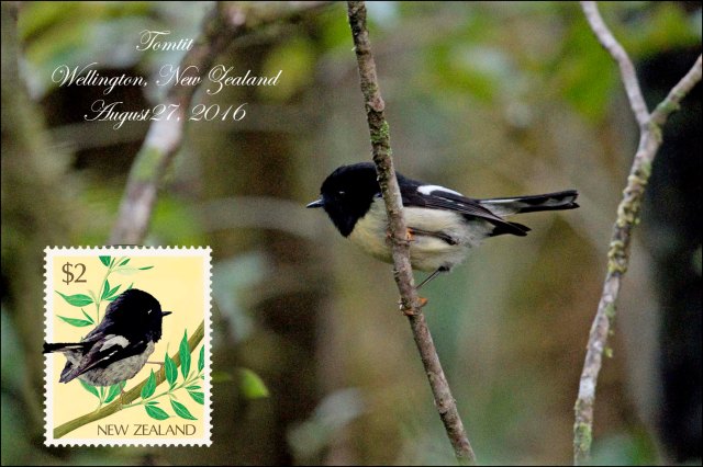 newzealandcookislands2016-64