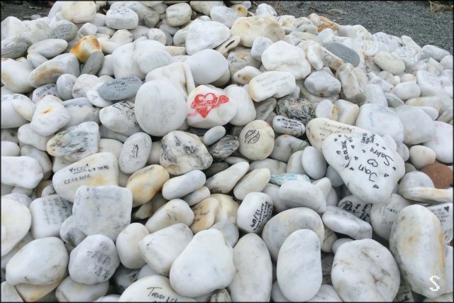 newzealandcookislands2016-68