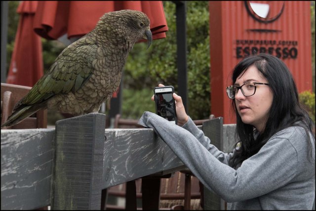 newzealandcookislands2016-80