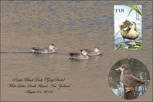 newzealandcookislands2016-9