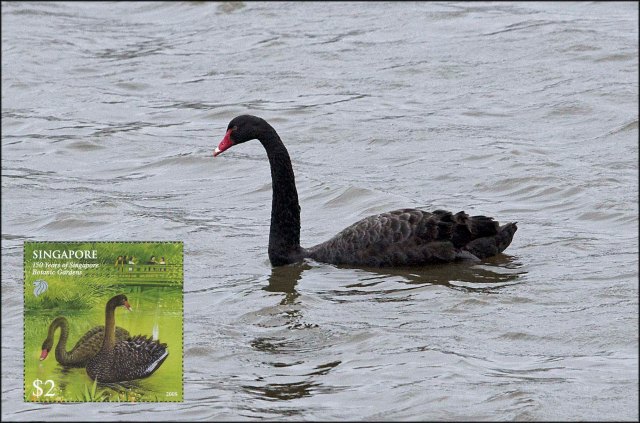 newzealandcookislands2016-94