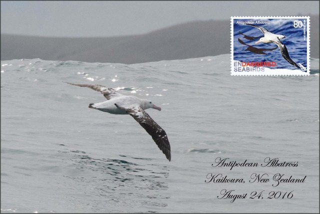 newzealandcookislands2016-111