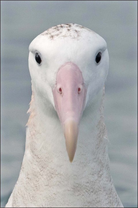 newzealandcookislands2016-119