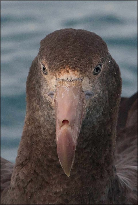 newzealandcookislands2016-120