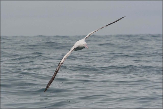 newzealandcookislands2016-128