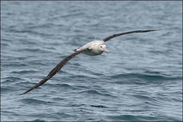 newzealandcookislands2016-130
