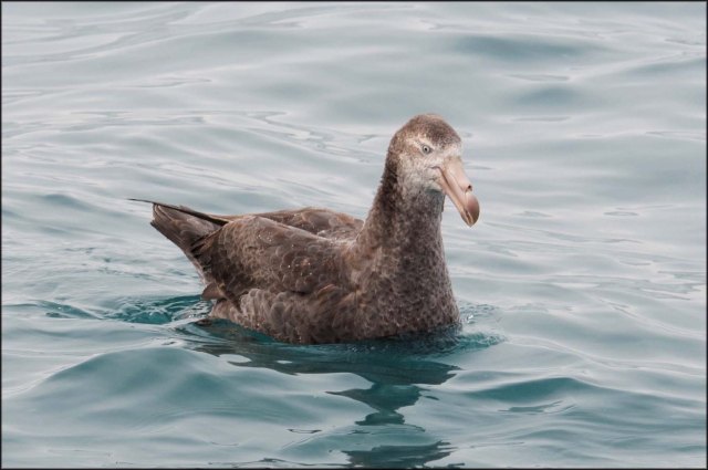 newzealandcookislands2016-149