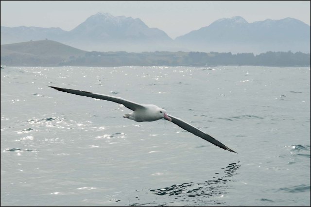 newzealandcookislands2016-151