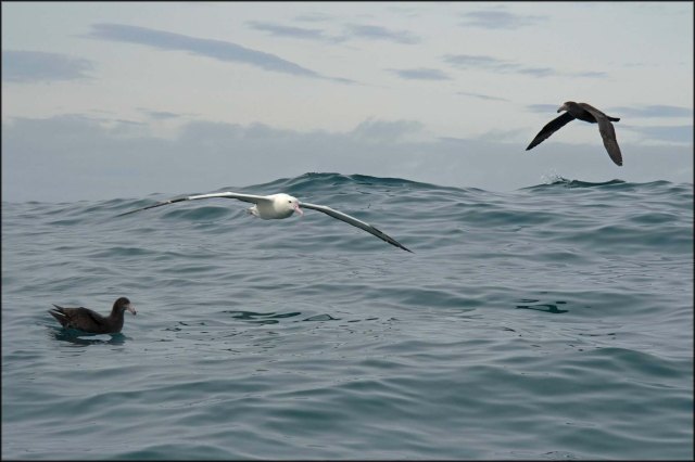 newzealandcookislands2016-153