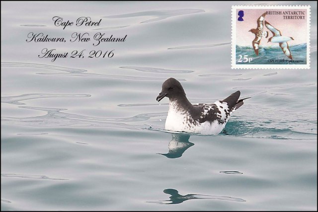 newzealandcookislands2016-154