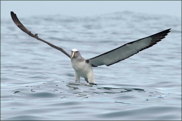 newzealandcookislands2016-176