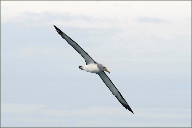 newzealandcookislands2016-177