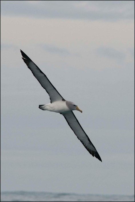 newzealandcookislands2016-178