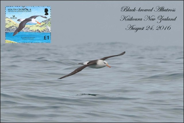 newzealandcookislands2016-181