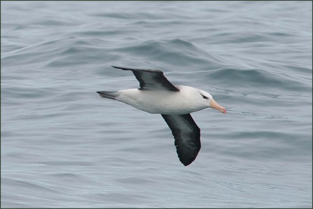 newzealandcookislands2016-183