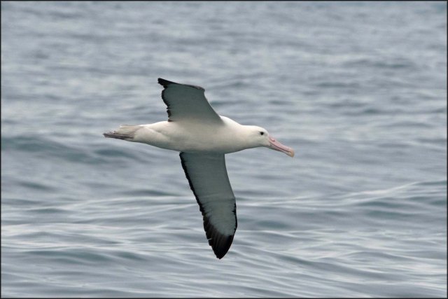 newzealandcookislands2016-185