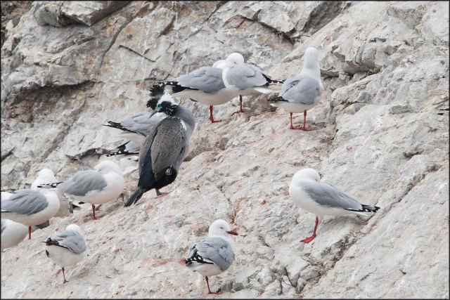 newzealandcookislands2016-189