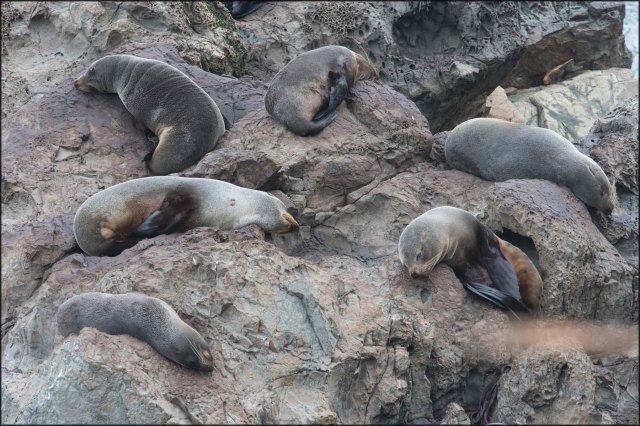 newzealandcookislands2016-201