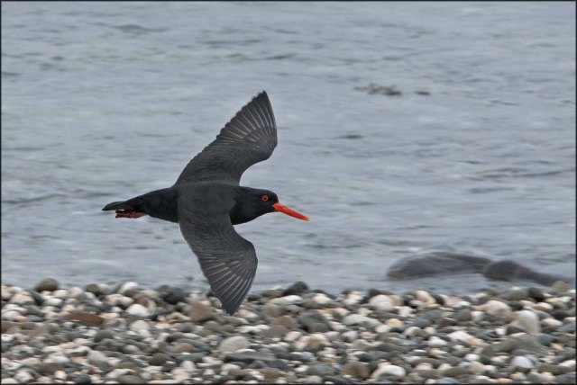 newzealandcookislands2016-202