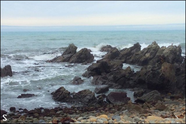 newzealandcookislands2016-214