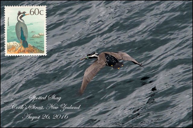 newzealandcookislands2016-218