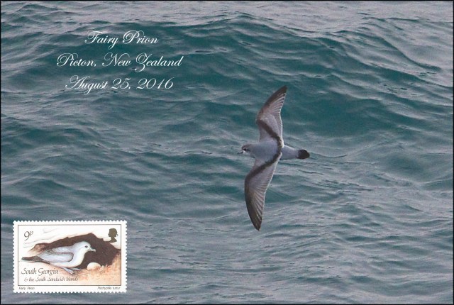 newzealandcookislands2016-219