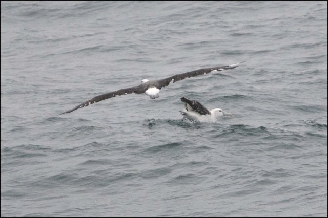 newzealandcookislands2016-224