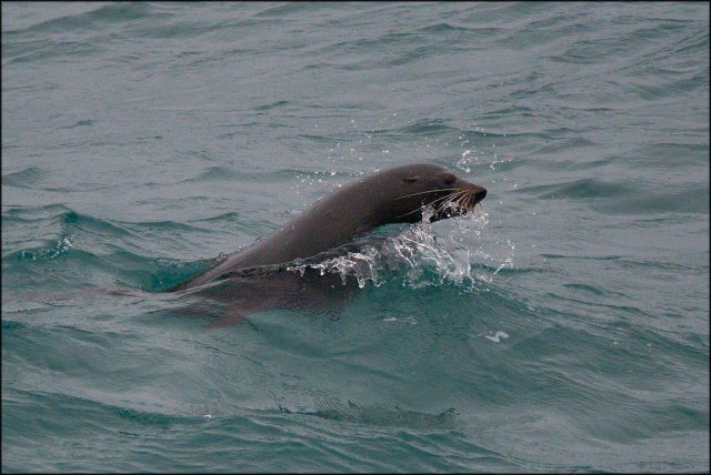 newzealandcookislands2016-228