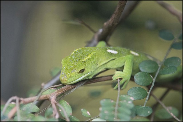newzealandcookislands2016-239