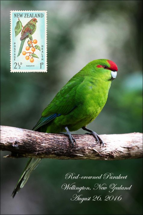 newzealandcookislands2016-255