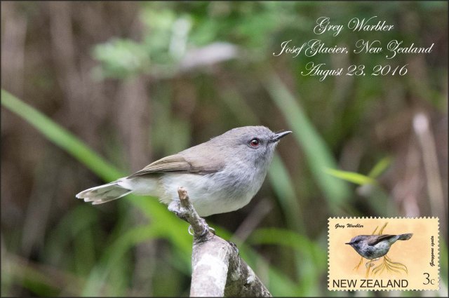 newzealandcookislands2016-266