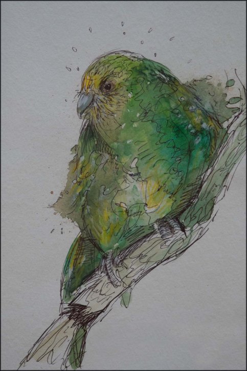 newzealandcookislands2016-269