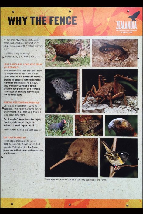 newzealandcookislands2016-281