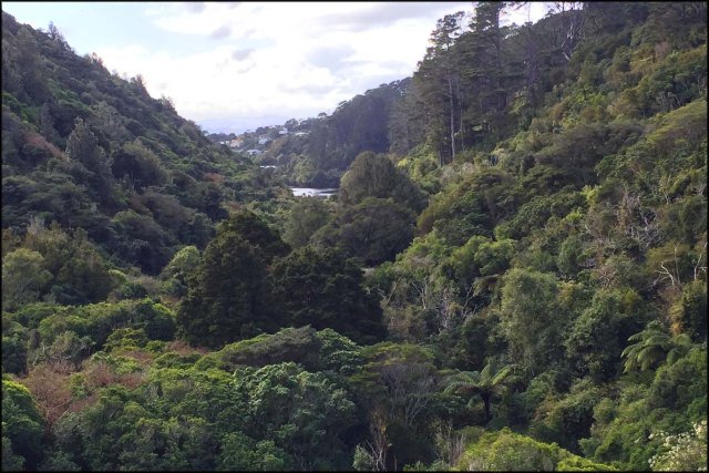 newzealandcookislands2016-283