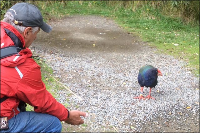 newzealandcookislands2016-284