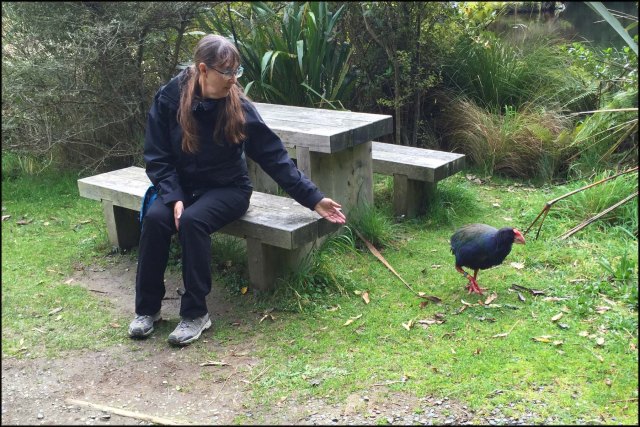 newzealandcookislands2016-285
