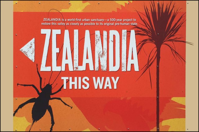 newzealandcookislands2016-287