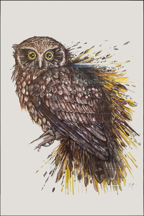 newzealandcookislands2016-290