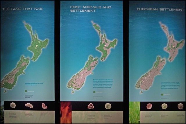 newzealandcookislands2016-305