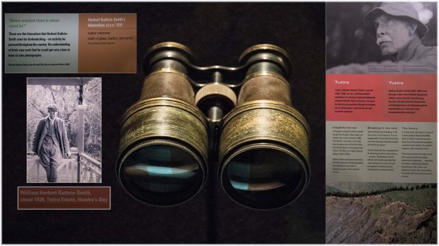 newzealandcookislands2016-306