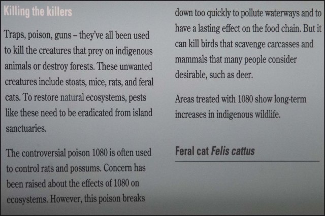 newzealandcookislands2016-307